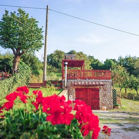 Ferienwohnung La Finestra Sul Castello Arcidosso Exterior foto